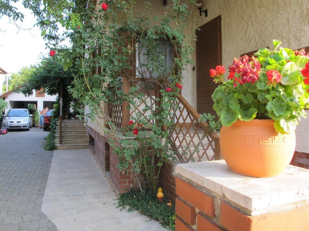 Foki Apartman Σόπρον Εξωτερικό φωτογραφία